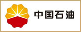 重庆网站制作企业案例
